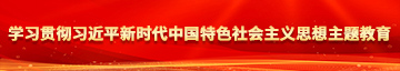 弄屄网学习贯彻习近平新时代中国特色社会主义思想主题教育